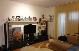 Apartament 2 camere, 42 mp, Bularga