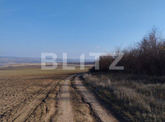 Teren de vânzare Exterior Sud - 102027TV | BLITZ Iași | Poza2