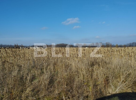 Teren de vânzare Exterior Sud - 102030TV | BLITZ Iași | Poza1