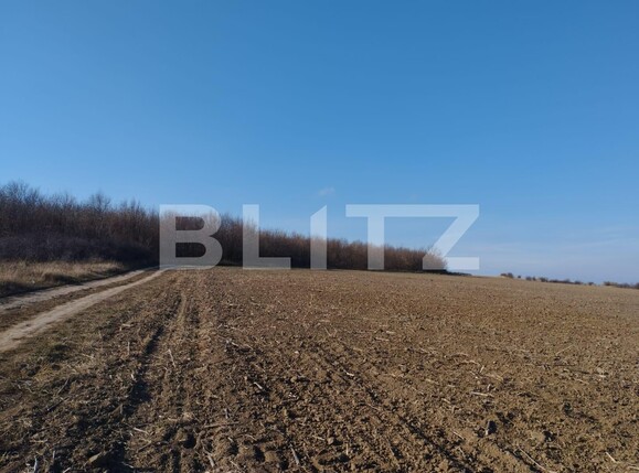 Teren de vânzare Exterior Sud - 102030TV | BLITZ Iași | Poza2