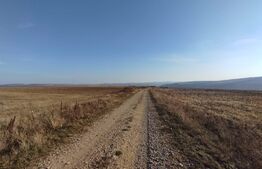 Teren agricol 2,5 ha compact, 30 km de Iasi