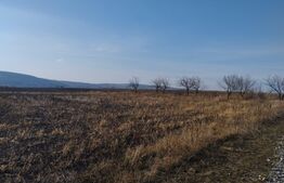 Teren agricol 2,5 ha compact, 30 km de Iasi