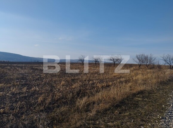 Teren de vânzare Exterior Sud - 102033TV | BLITZ Iași | Poza1