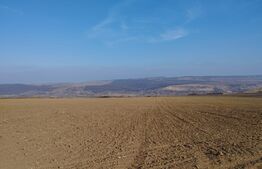 Teren agricol, 1,6 ha, 30 km de Iasi