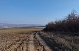 Teren agricol, 1,6 ha, 30 km de Iasi