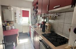 Apartament 2 camere, 50 mp, Pacurari