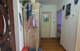 Apartament 2 camere, 50 mp, Pacurari