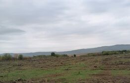 Teren 1000 mp, utilitati, Birnova-Pietrarie