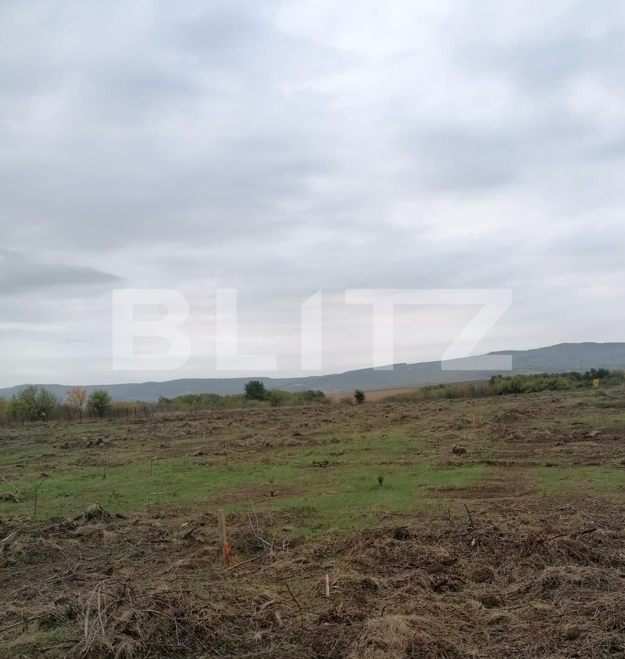 Teren de vânzare Pietrarie - 102150TV | BLITZ Iași | Poza2