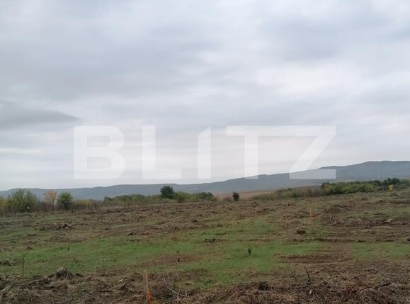 Teren de vânzare Pietrarie - 102225TV | BLITZ Iași | Poza1