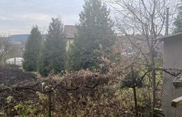 Casa cu 3 camere, 100 mp, 3000 mp de teren cu iaz, Rediu