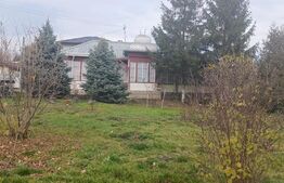 Casa cu 3 camere, 100 mp, 3000 mp de teren cu iaz, Rediu