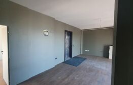 Penthouse 4 camere, 120 mp, zona Palas