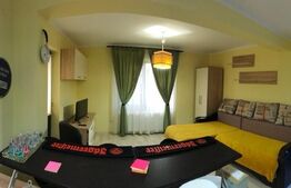 Apartament de 1 camera, 38mp, zona Valea Adanca