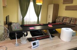 Apartament de 1 camera, 38mp, zona Valea Adanca