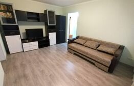 Apartament de 2 camere, decomandat, 55mp, zona Podu Ros