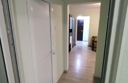 Apartament de 2 camere, decomandat, 55mp, zona Podu Ros