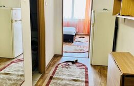 Garsoniera de 29mp, zona Podu Ros