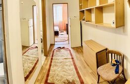 Garsoniera de 29mp, zona Podu Ros