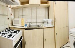 Garsoniera de 29mp, zona Podu Ros