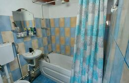 Casa tip cabana si 1500 mp teren, la asfalt, Grajduri