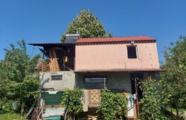 Casa tip cabana si 1500 mp teren, la asfalt, Grajduri