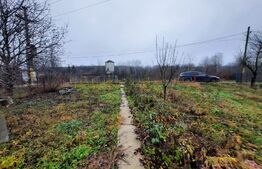 Casa tip cabana si 1500 mp teren, la asfalt, Grajduri