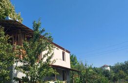 Casa tip cabana si 1500 mp teren, la asfalt, Grajduri