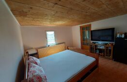 Casa tip cabana si 1500 mp teren, la asfalt, Grajduri