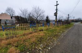 Casa tip cabana si 1500 mp teren, la asfalt, Grajduri