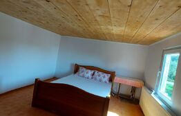 Casa tip cabana si 1500 mp teren, la asfalt, Grajduri