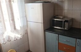 Garsoniera, 28 mp, etaj intermediar, Tatarasi