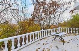 Oportunitatea lunii. Randament 6%, destinatie multipla, 886 mp, 2000 mp teren, Copou