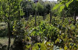 Casa de 3 camere, 100 mp utili, teren cu 1033 mp, Tomesti