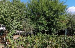 Casa de 3 camere, 100 mp utili, teren cu 1033 mp, Tomesti