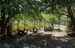 Casa de 3 camere, 100 mp utili, teren cu 1033 mp, Tomesti