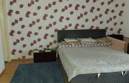 Apartament cu o camera, 37 mp, decomandat, Visani