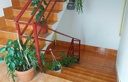 Apartament cu o camera, 37 mp, decomandat, Visani