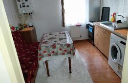 Apartament cu o camera, 37 mp, decomandat, Visani
