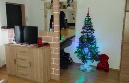 Apartament cu o camera, 37 mp, decomandat, Visani