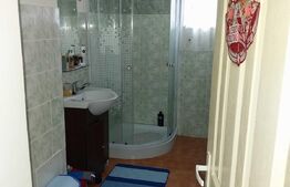 Apartament cu o camera, 37 mp, decomandat, Visani