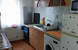 Apartament cu o camera, 37 mp, decomandat, Visani