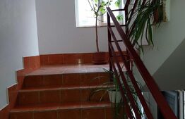 Apartament cu o camera, 37 mp, decomandat, Visani