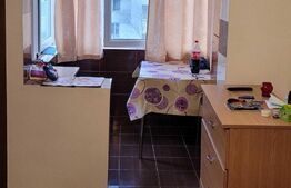 Apartament cu o camera, 24 mp, etaj intermediar, Frumoasa