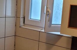 Apartament cu o camera, 24 mp, etaj intermediar, Frumoasa