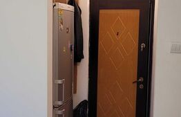 Apartament cu o camera, 24 mp, etaj intermediar, Frumoasa