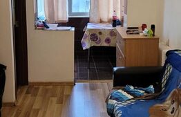 Apartament cu o camera, 24 mp, etaj intermediar, Frumoasa