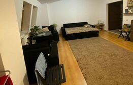 Apartament cu 1 camera, 44 mp, mobilat, Cug