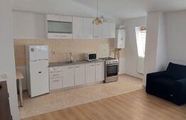 Apartament cu 1 camera, 44 mp, mobilat, Cug