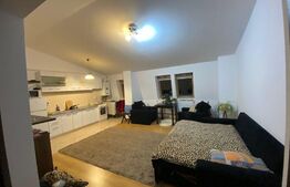 Apartament cu 1 camera, 44 mp, mobilat, Cug